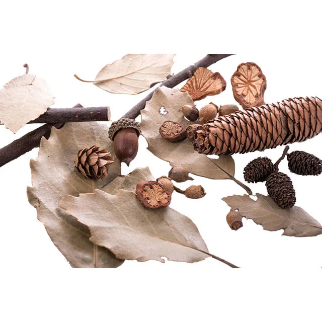 KEYSTONE 商攝光影窗花-歐式窗戶 歷史價格詳細信息