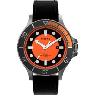 【TIMEX】天美時 遠征系列 探險手錶 (深藍x綠 TXTW2V23000) 歷史價格詳細信息