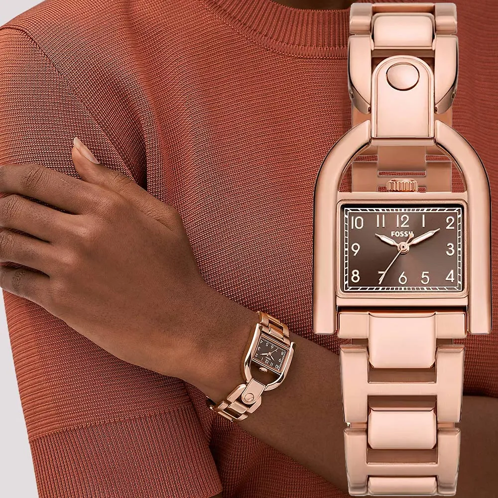 FOSSIL Harwell 復古鎖頭造型女錶-深紅仿蛇紋皮錶帶/28mm ES5301 歷史價格詳細信息