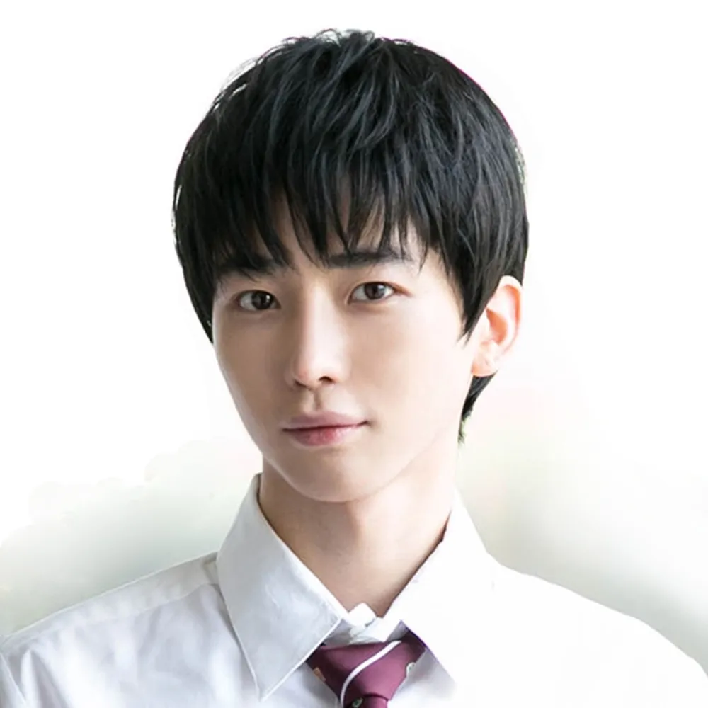 整頂真髮絲假髮-自然黑色直髮逼真男假髮父親節禮物73vb12【巴黎精品】 歷史價格詳細信息