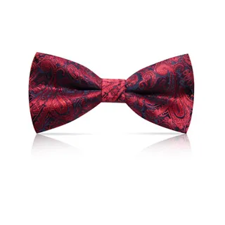 【Laifuu拉福】英翔精品6cm中窄版兒童拉鍊領帶口袋巾-兒童二件組(兒童領帶+口袋巾) 歷史價格詳細信息