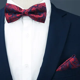 【Laifuu拉福】英翔精品6cm中窄版兒童拉鍊領帶口袋巾-兒童二件組(兒童領帶+口袋巾) 歷史價格詳細信息