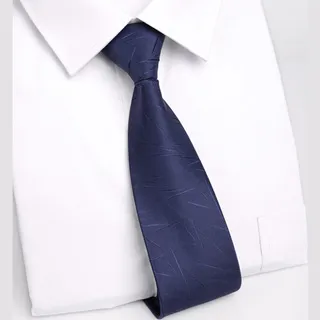 Laifuu.樂藍領帶寬8cm拉鍊伸士上班男領帶 歷史價格詳細信息
