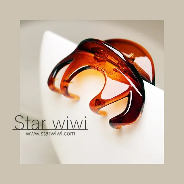 【Star wiwi】時尚風格造型香蕉夾《2入組》《琥珀棕色》 ( 髮飾 髮夾 ) 歷史價格詳細信息