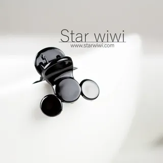 【Star wiwi】時尚造型小鯊魚夾《髮飾 • 髮夾》《6入組》《黑色 / 咖啡色款》 歷史價格詳細信息