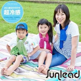 Sunlead 涼感效果。防曬吸濕速乾多機能手套袖套組 歷史價格詳細信息