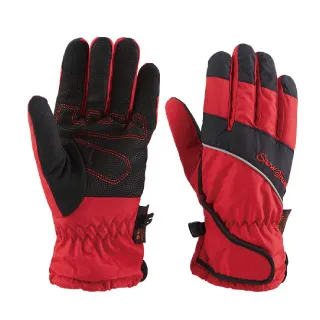 SNOW TRAVEL AR-73 英國Ski-Dri 觸控保暖手套 黑 歷史價格詳細信息