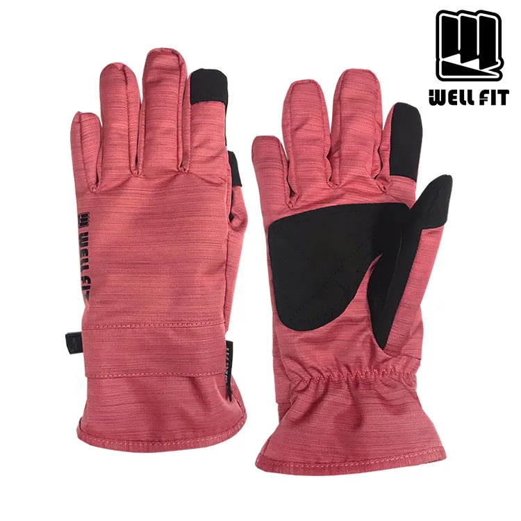 【WELL FIT】輕量防水保暖手套-藍色-WF09086 歷史價格詳細信息