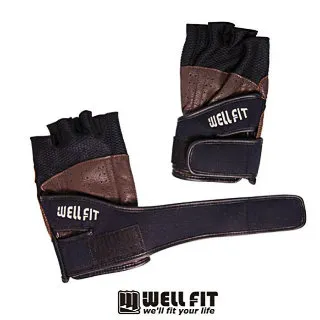 [WELL FIT 威飛客] 山羊皮 碳纖維 皮革 重機手套 / 合身型 - 藍色 歷史價格詳細信息