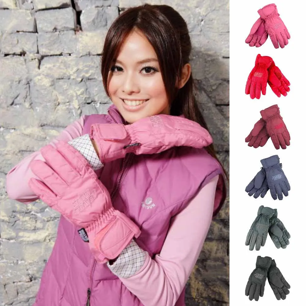 [snowtravel]AR-ONE英國TPU防水套+白鵝羽絨700fill防水保暖滑雪手套/灰L號/日本輕井澤2016年滑雪紀念版 歷史價格詳細信息