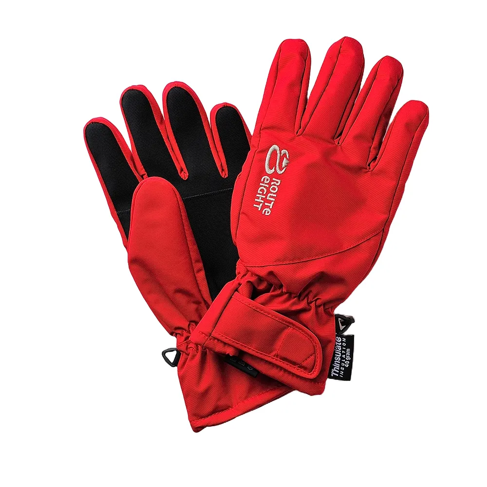 ROUTEEIGHT KREATE 3M 防水保暖手套 (酒紅色) (780) 歷史價格詳細信息