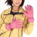 《SNOW TRAVEL》防水羽毛手套 (紅色) 歷史價格詳細信息