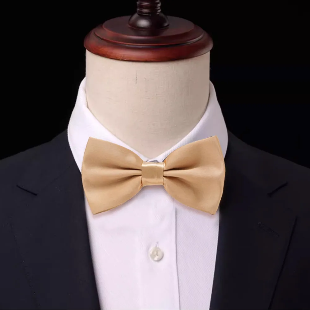 Laifuu.摩金線領結花童表演領結糾糾(兒童) 歷史價格詳細信息