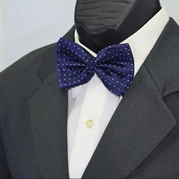 【拉福】藍天中窄版領帶6cm領帶拉鍊領帶(兒童) 歷史價格詳細信息