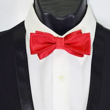 【拉福】大紅橫條紋結婚領結糾糾(兒童大紅) 歷史價格詳細信息