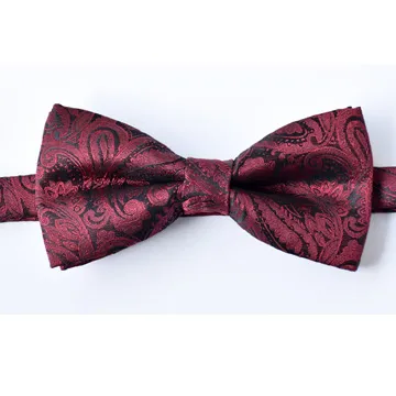 【拉福】變形蟲雙翼領結新郎結婚領結糾糾 (黑色) 歷史價格詳細信息