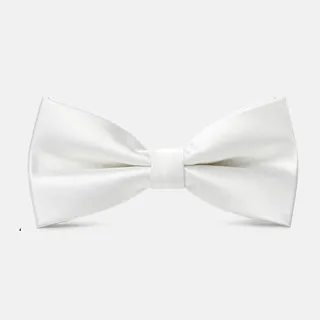 【拉福】兒童領結糾糾亮面小紳士專用領結(多色) 歷史價格詳細信息