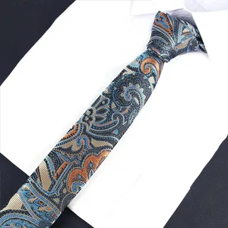 【拉福】領帶鋼龍6cm窄領帶拉鍊領帶(兒童) 歷史價格詳細信息