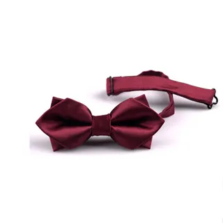 【Laifuu拉福】兒童領帶8cm寬版雪片領帶拉鍊領帶-兒童拉鍊(深藍) 歷史價格詳細信息