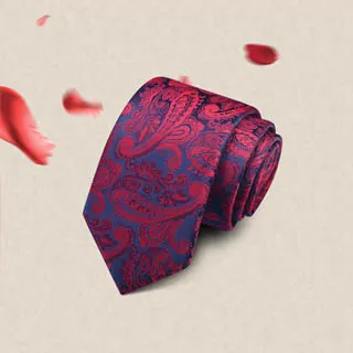 【Laifu拉福】領帶英流6cm中窄版領帶拉鍊領帶-黑(兒童) 歷史價格詳細信息