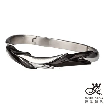 原生飾代SilverKings-無限延伸-316L白鋼手環-黑 歷史價格詳細信息