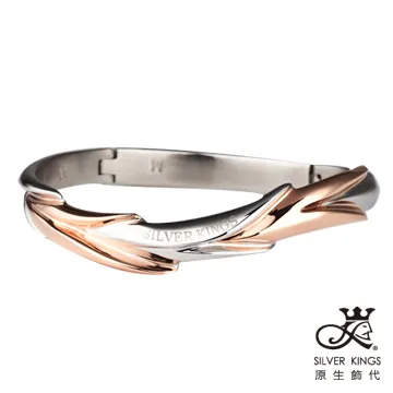 原生飾代SilverKings-無限延伸-316L白鋼手環-黑 歷史價格詳細信息