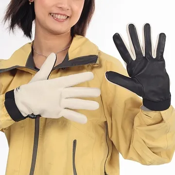 《SNOW TRAVEL》小羊皮WINDBLOC藍色防風保暖手套 歷史價格詳細信息