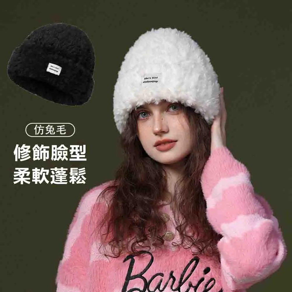 JDTECH 加厚保暖羊駝馬桶坐墊套 拉鏈款帶提手馬桶墊 歷史價格詳細信息