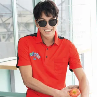 【LEIDOOE】亮光三角洞洞排汗男短POLO衫(96105)藍 歷史價格詳細信息