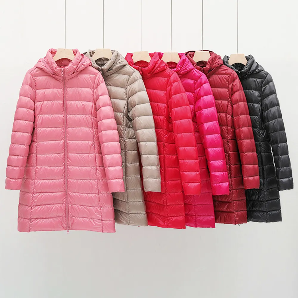 【CS22】加大碼極舒棉蝴蝶結中腰內褲(5件/入) 歷史價格詳細信息