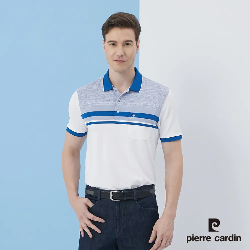 【pierre cardin 皮爾卡登】 男裝網眼橫條長袖polo衫-紫紅 (5205207-28) 歷史價格詳細信息