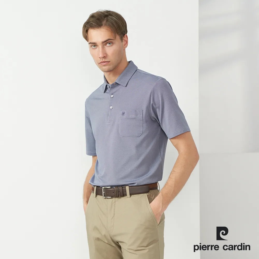 【pierre cardin 皮爾卡登】男款 TOP小組織短袖POLO衫-淺紫色 (5237298-28) 歷史價格詳細信息
