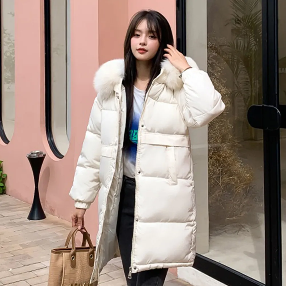 ??愛寵首選??寵物精品行李箱-PUBT公爵L MAX系列 寵物移動城堡 寵物外出包 拉桿包 寵物推車 拉桿箱 歷史價格詳細信息