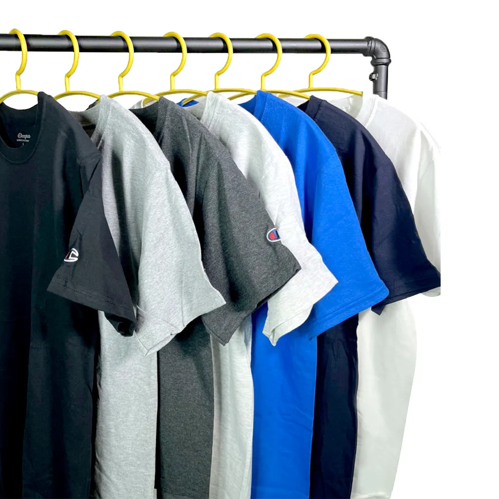 Champion T425 美規冠軍經典素面T恤 - 酒紅 歷史價格詳細信息