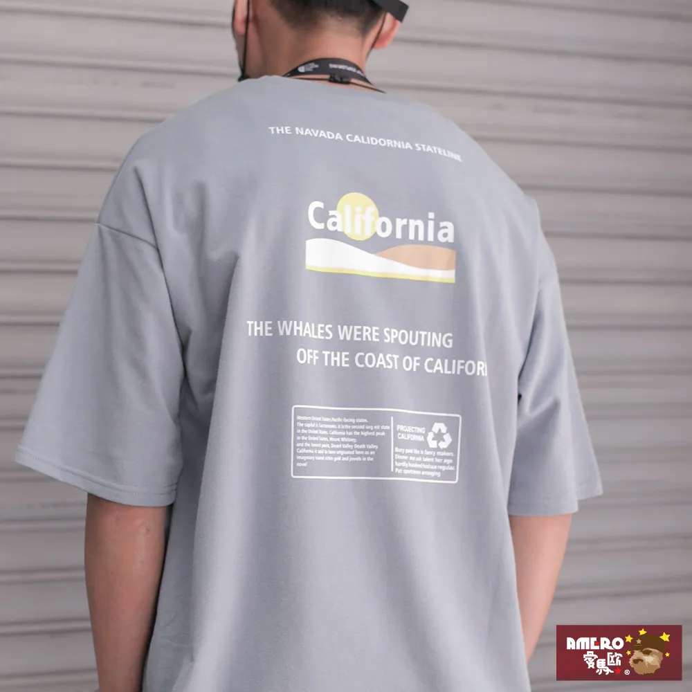 【AMERO】男女裝 短袖POLO衫 寬鬆版本 網眼 落肩款 情侶裝 歷史價格詳細信息