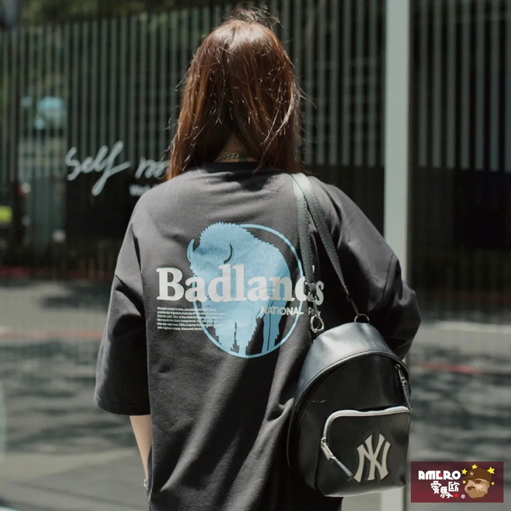 【AMERO】男女款 圓領短袖T恤 國旗印花 情侶裝 親子裝 大尺碼 歷史價格詳細信息