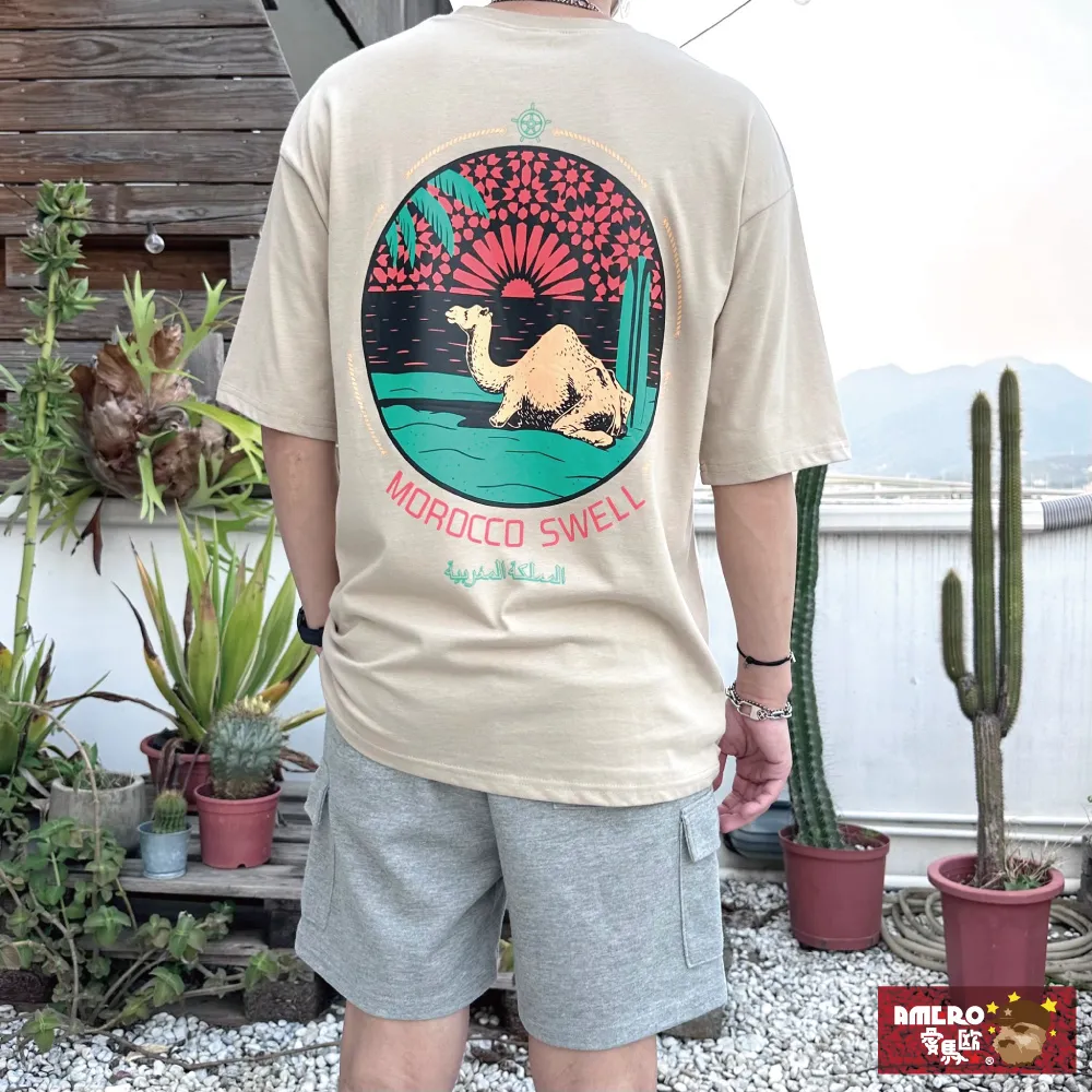 駱駝男裝短袖t恤男夏季2024新款涼感速干圓領情侶寬松半袖體恤男【台灣公司免稅開發票】 歷史價格詳細信息