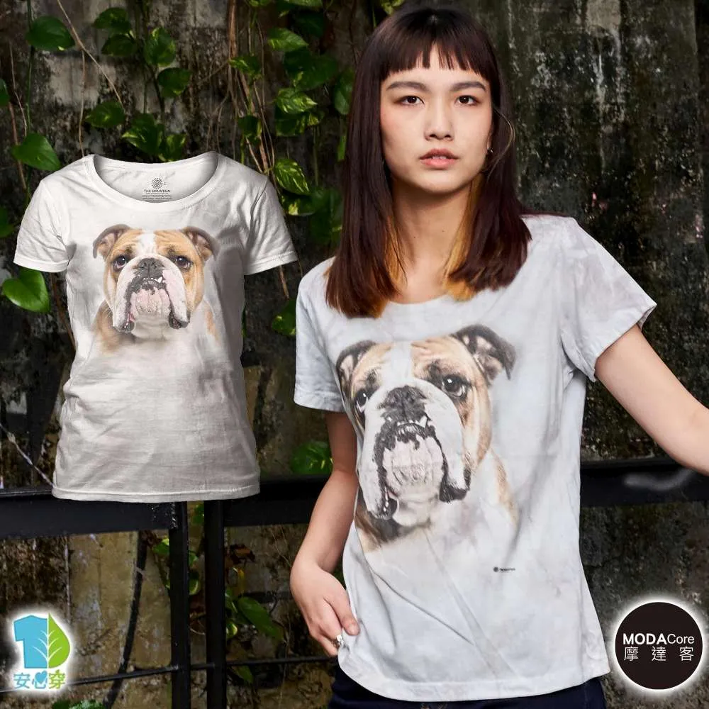 英國犬手機吊飾美麗諾羊毛羊毛氈材料包、可製作成手機吊飾、小裝飾（純羊毛製品） 歷史價格詳細信息