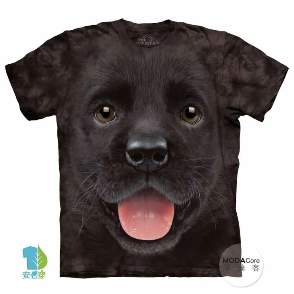 摩多客Y21便攜大容量10000毫安2.1A快充移動電源雙USB輸出充電寶 歷史價格詳細信息