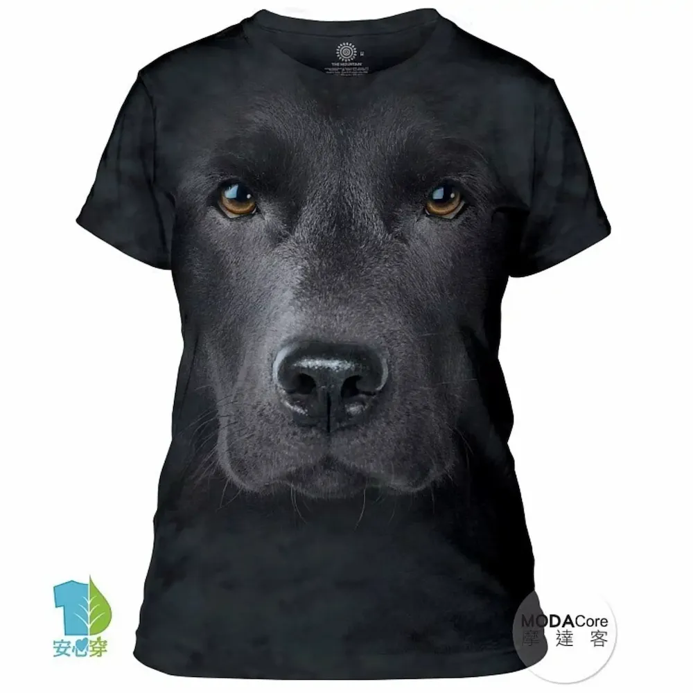 摩多客Y21便攜大容量10000毫安2.1A快充移動電源雙USB輸出充電寶 歷史價格詳細信息