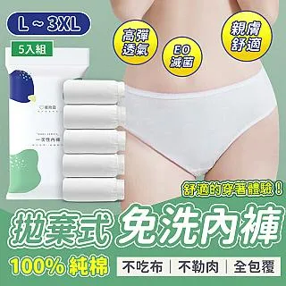 一次性免洗褲拋棄型內褲(100條一組) 歷史價格詳細信息