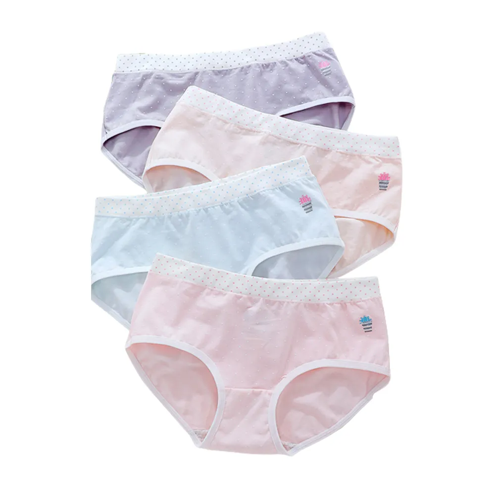 【4入裝】日系抗菌少女學生內褲組/國高中生純棉內褲/日系內褲【奇趣精選】 歷史價格詳細信息