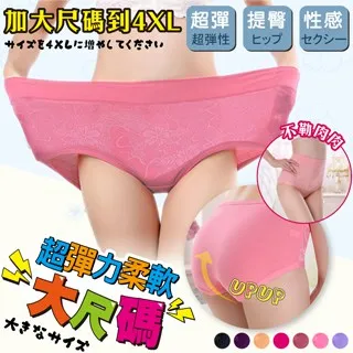 柔軟緹花親膚透氣桑蠶絲彈力中腰內褲 《VB0726》 歷史價格詳細信息