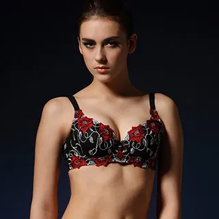 【KS 凱恩絲】專利蠶絲機能集中側邊素花蕾絲內衣-CD罩杯-mo1款(紅) 歷史價格詳細信息