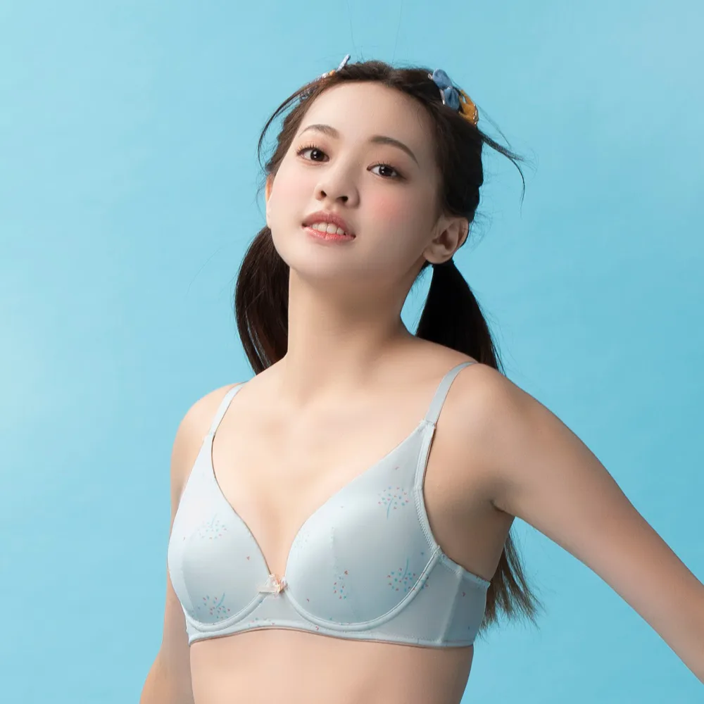 嬪婷-FTC系列-舒適記形 B-C罩杯內衣(好藍鴨)-BB3673D3 歷史價格詳細信息