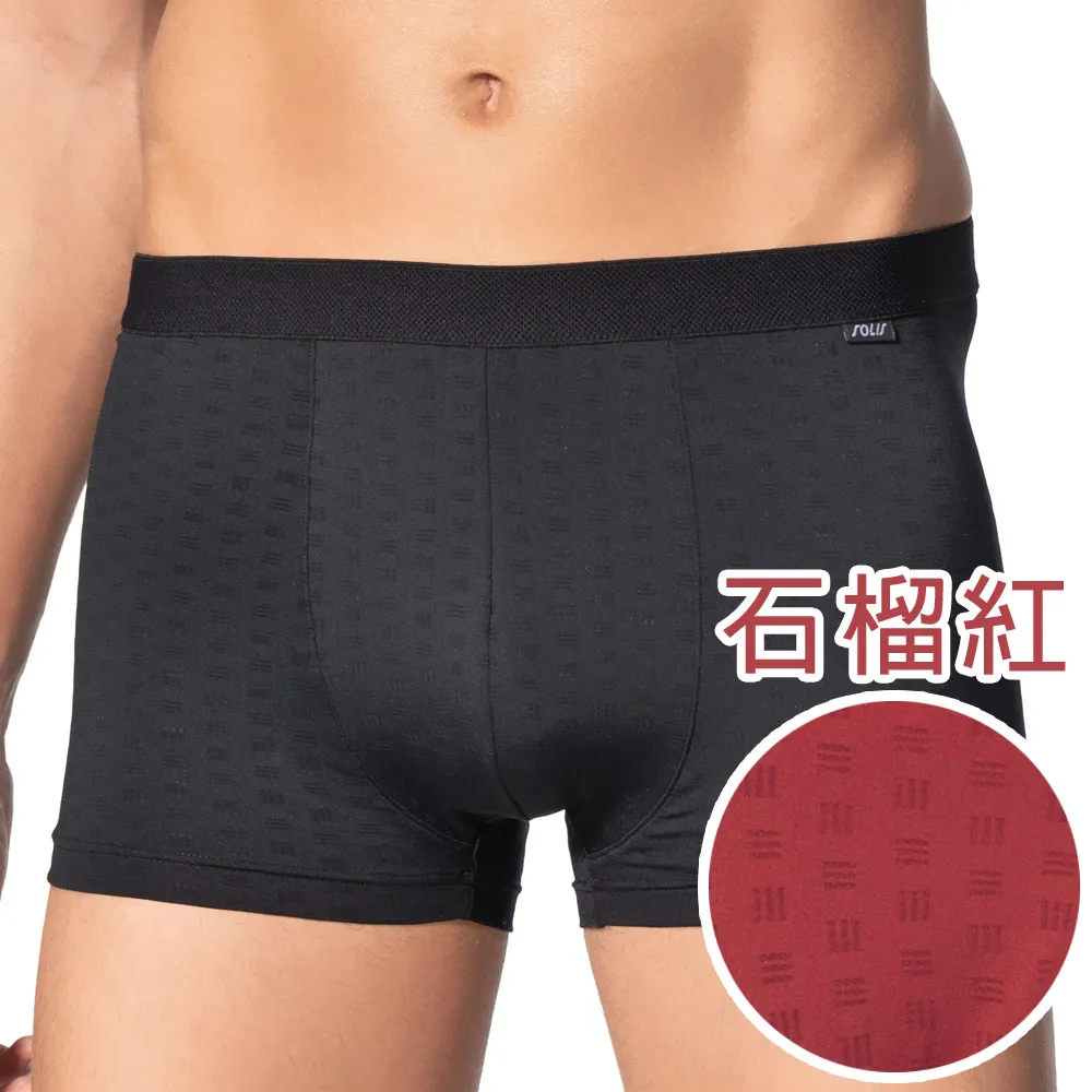 SOLIS 涼爽Cool系列M-XXL素面貼身三角男褲(石榴紅) 歷史價格詳細信息