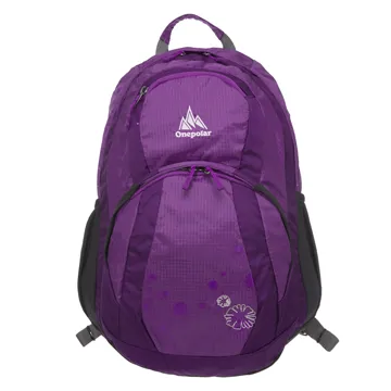 【ONE POLAR】勁量深渠導流後背包附雨罩 25L-紫 PLA1598PL 歷史價格詳細信息