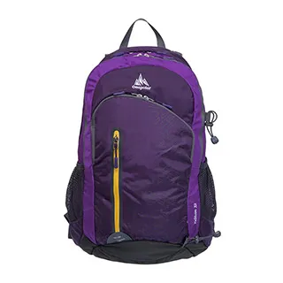 【ONE POLAR】勁量深渠導流後背包附雨罩 25L-紫 PLA1598PL 歷史價格詳細信息