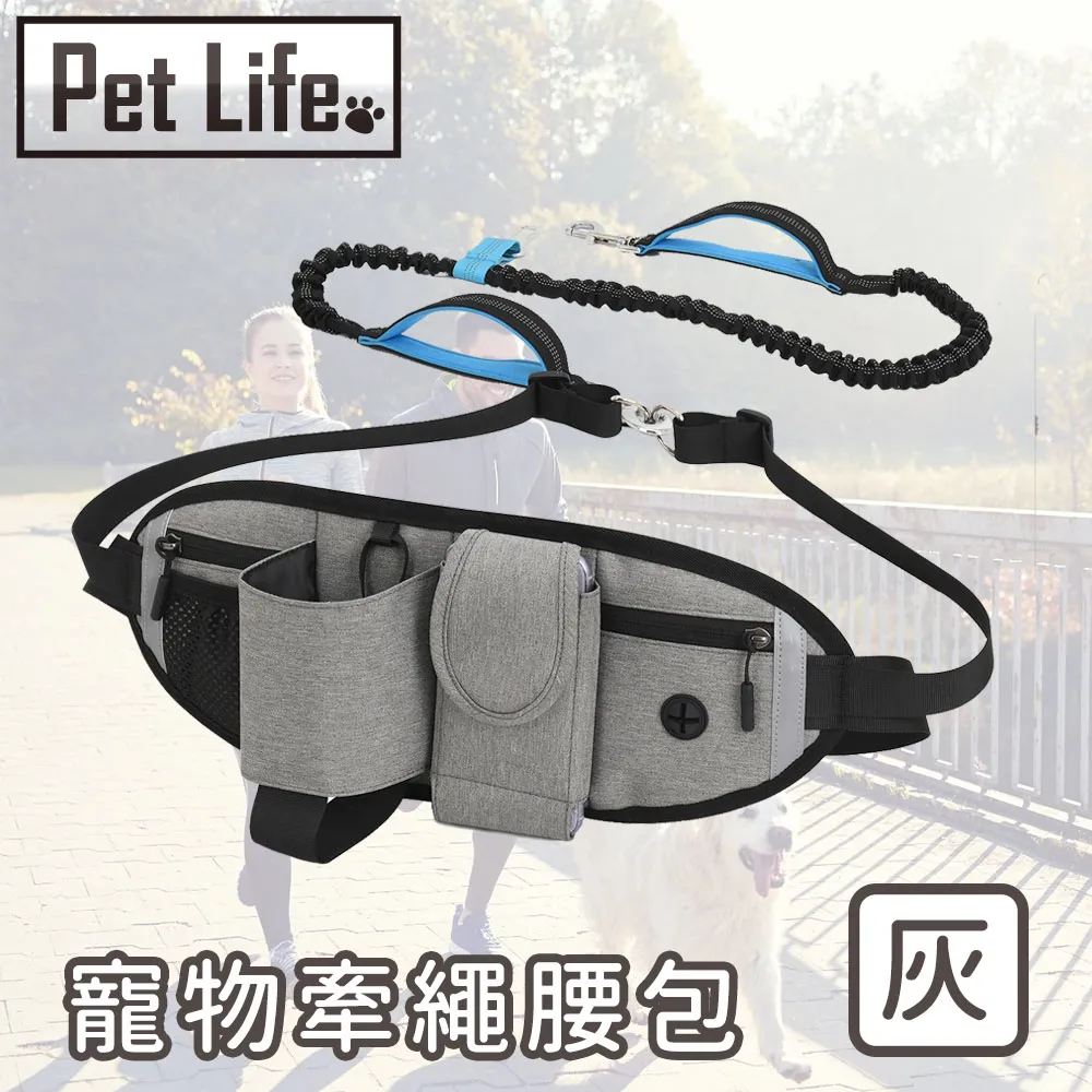 Pet Life 防潮透氣可拆洗寵物木床/貓窩/狗窩 原色小熊款 L號 歷史價格詳細信息