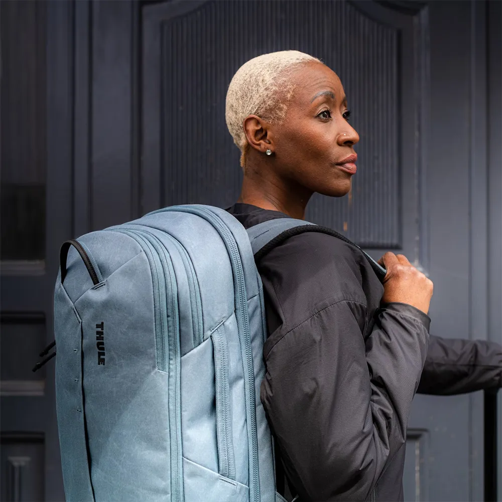 Thule Aion 28L 15.6 吋旅行後背包/電腦包 歷史價格詳細信息